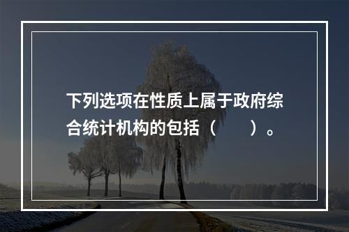 下列选项在性质上属于政府综合统计机构的包括（　　）。