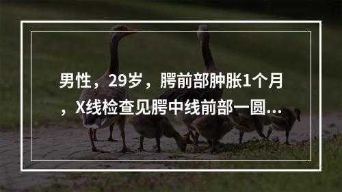 男性，29岁，腭前部肿胀1个月，X线检查见腭中线前部一圆形透