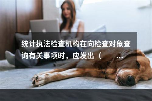 统计执法检查机构在向检查对象查询有关事项时，应发出（　　）