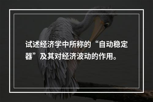 试述经济学中所称的“自动稳定器”及其对经济波动的作用。