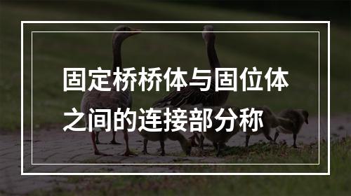 固定桥桥体与固位体之间的连接部分称