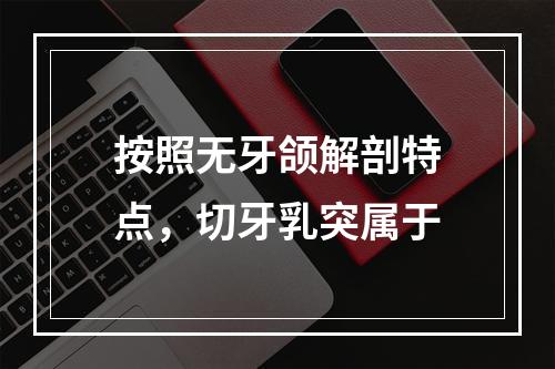 按照无牙颌解剖特点，切牙乳突属于