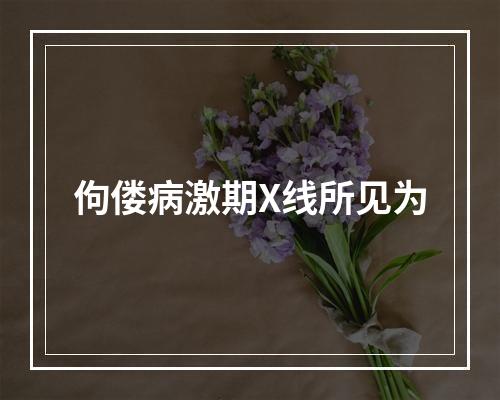 佝偻病激期X线所见为