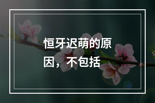 恒牙迟萌的原因，不包括