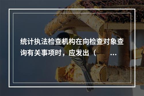 统计执法检查机构在向检查对象查询有关事项时，应发出（　　）