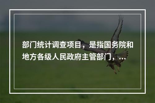 部门统计调查项目，是指国务院和地方各级人民政府主管部门，根