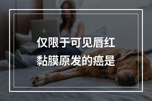 仅限于可见唇红黏膜原发的癌是