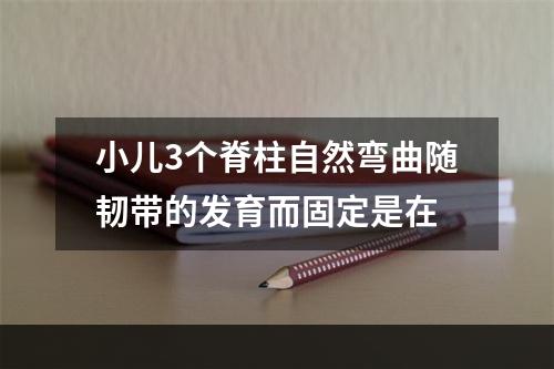 小儿3个脊柱自然弯曲随韧带的发育而固定是在