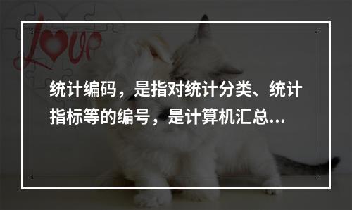 统计编码，是指对统计分类、统计指标等的编号，是计算机汇总的