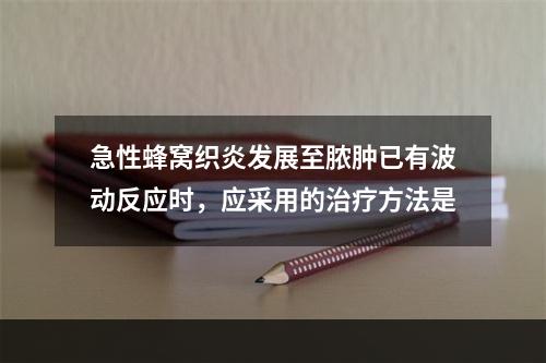 急性蜂窝织炎发展至脓肿已有波动反应时，应采用的治疗方法是