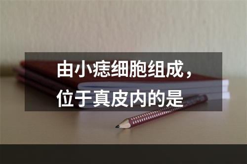 由小痣细胞组成，位于真皮内的是