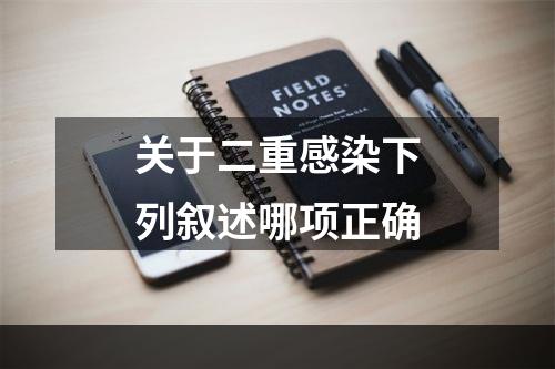 关于二重感染下列叙述哪项正确