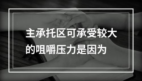 主承托区可承受较大的咀嚼压力是因为