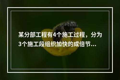 某分部工程有4个施工过程，分为3个施工段组织加快的成倍节拍流