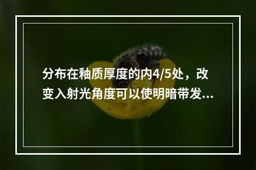 分布在釉质厚度的内4/5处，改变入射光角度可以使明暗带发生变