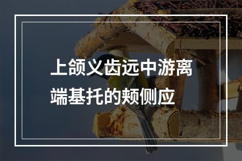 上颌义齿远中游离端基托的颊侧应