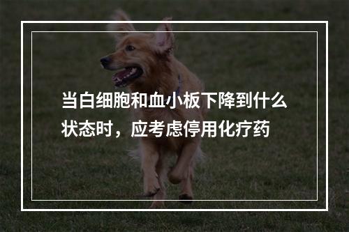 当白细胞和血小板下降到什么状态时，应考虑停用化疗药