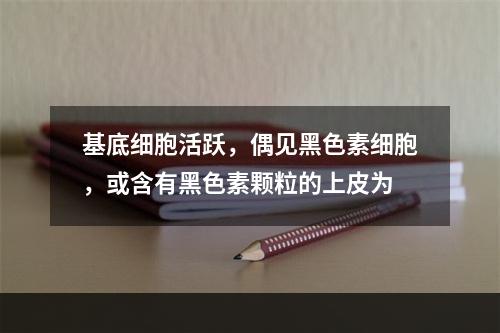 基底细胞活跃，偶见黑色素细胞，或含有黑色素颗粒的上皮为