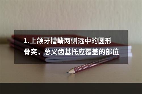 1.上颌牙槽嵴两侧远中的圆形骨突，总义齿基托应覆盖的部位