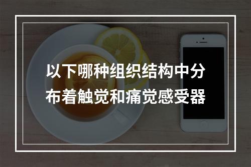 以下哪种组织结构中分布着触觉和痛觉感受器