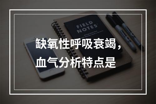 缺氧性呼吸衰竭，血气分析特点是