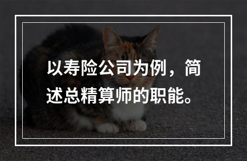 以寿险公司为例，简述总精算师的职能。