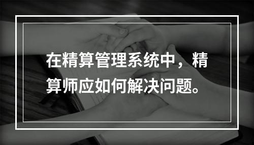 在精算管理系统中，精算师应如何解决问题。