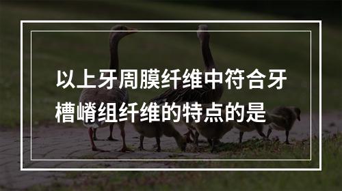 以上牙周膜纤维中符合牙槽嵴组纤维的特点的是