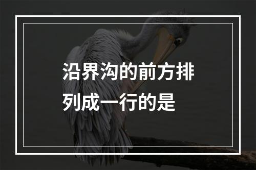 沿界沟的前方排列成一行的是