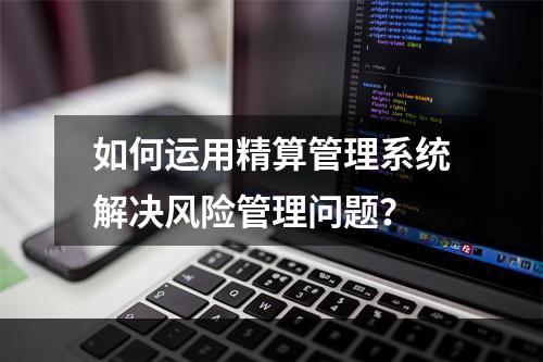 如何运用精算管理系统解决风险管理问题？