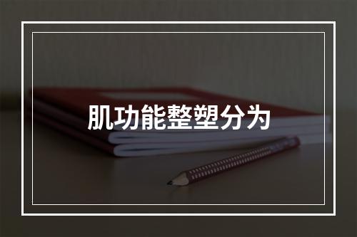 肌功能整塑分为