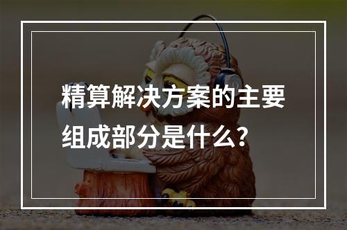 精算解决方案的主要组成部分是什么？