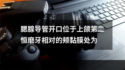 腮腺导管开口位于上颌第二恒磨牙相对的颊黏膜处为