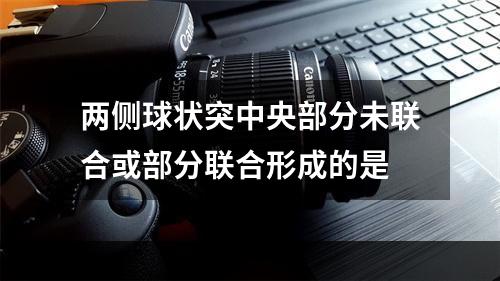 两侧球状突中央部分未联合或部分联合形成的是