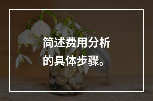 简述费用分析的具体步骤。