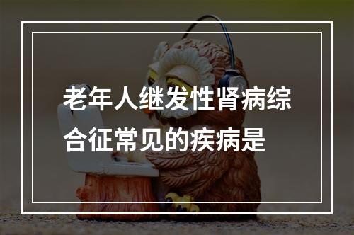 老年人继发性肾病综合征常见的疾病是