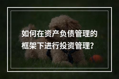 如何在资产负债管理的框架下进行投资管理？