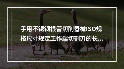 手用不锈钢根管切削器械ISO规格尺寸规定工作端切割刃的长度为