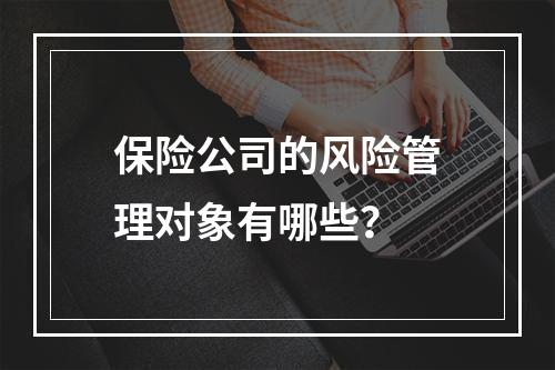 保险公司的风险管理对象有哪些？