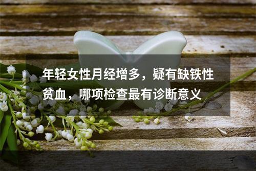 年轻女性月经增多，疑有缺铁性贫血，哪项检查最有诊断意义