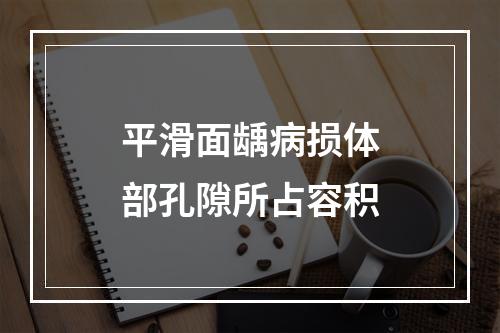 平滑面龋病损体部孔隙所占容积