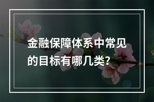 金融保障体系中常见的目标有哪几类？