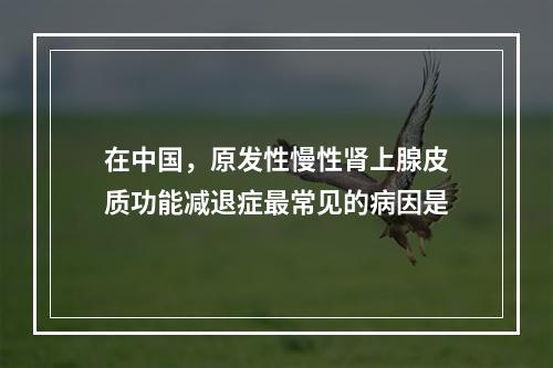 在中国，原发性慢性肾上腺皮质功能减退症最常见的病因是