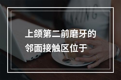 上颌第二前磨牙的邻面接触区位于