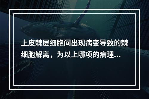 上皮棘层细胞间出现病变导致的棘细胞解离，为以上哪项的病理表现