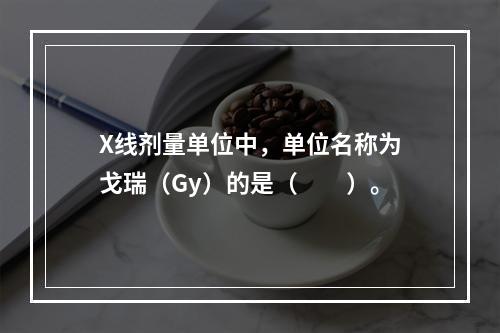 X线剂量单位中，单位名称为戈瑞（Gy）的是（　　）。