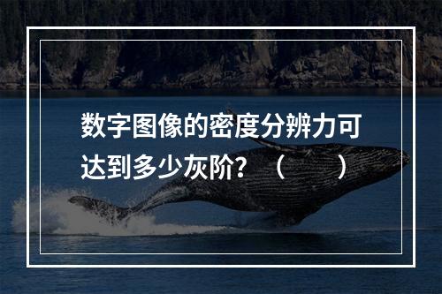 数字图像的密度分辨力可达到多少灰阶？（　　）