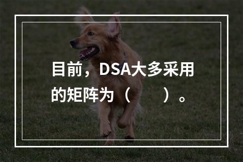 目前，DSA大多采用的矩阵为（　　）。