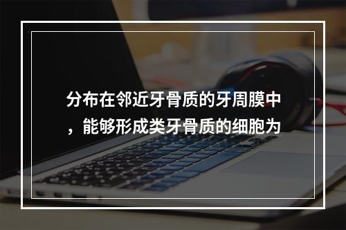 分布在邻近牙骨质的牙周膜中，能够形成类牙骨质的细胞为