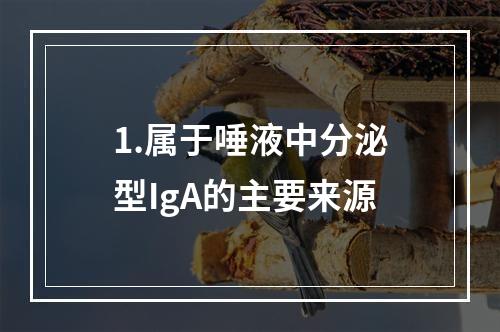 1.属于唾液中分泌型IgA的主要来源